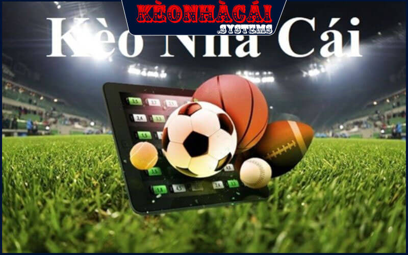 Giới thiệu kubet 88 Nền Tảng Tỷ Lệ Kèo Uy Tín Nhất Việt Nam 2 Cung cấp nhiều dịch vụ thiết thực đối với khách hàng